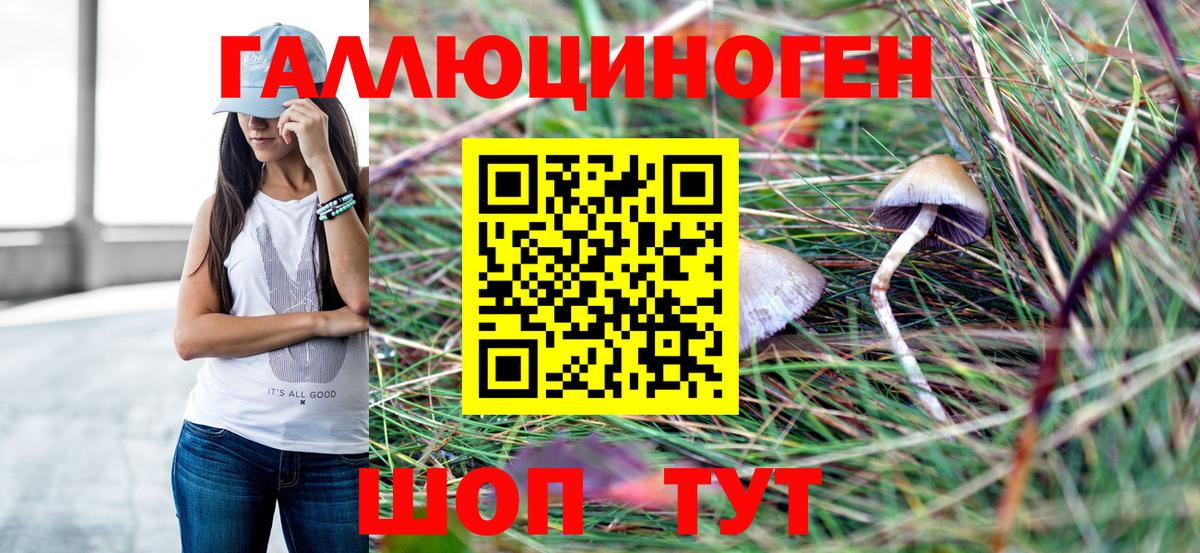 Химки  Галлюциногенные грибы мухоморы  Вход с VPN 